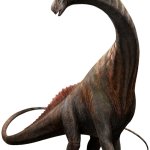Titanosaurus 4 (JWR Design)