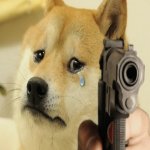 Doge sad conflicted