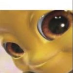 Bee looking meme