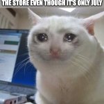 sad | SEEING SCHOOL SUPPLIES IN THE STORE EVEN THOUGH IT'S ONLY JULY | image tagged in crying cat | made w/ Imgflip meme maker