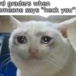 crying cat | 3rd graders when someone says “heck you”: | image tagged in crying cat,memes,funny,cats,crying,3rd graders | made w/ Imgflip meme maker