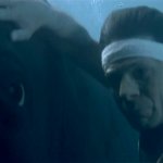 Spock Whale