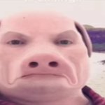 Angry John pork