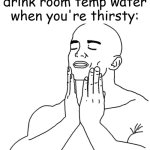 Tbh room temp water is the best. Change my mind. | How it feels to drink room temp water when you're thirsty: | image tagged in soothing face rub | made w/ Imgflip meme maker