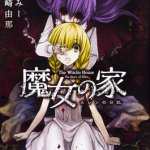 The witch's house cover