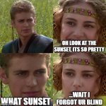 i had to this came to my head | OH LOOK AT THE SUNSET, ITS SO PRETTY; ...WAIT I FORGOT UR BLIND; WHAT SUNSET | image tagged in anakin padme 4 panel,gifs | made w/ Imgflip meme maker
