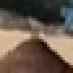 giraffe pocket left edit GIF Template