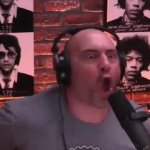 Very healthy argument GIF Template