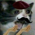 crying french cat