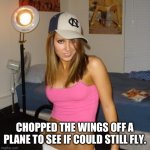 Scumbag Stacey | CHOPPED THE WINGS OFF A PLANE TO SEE IF COULD STILL FLY. | image tagged in scumbag stacey | made w/ Imgflip meme maker