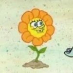 flowerbob
