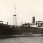 Yugoslavian Steam Merchant template