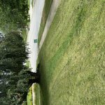 Electric mower