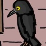 Bird that I hate