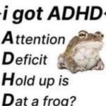i got adh is that a frog? meme