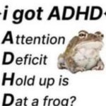 i got adh is that a frog? | image tagged in i got adh is that a frog | made w/ Imgflip meme maker