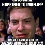 what happend guys? I only took a 2 year break to focus on my actual life but now that I come back everything is not the same | GUYS WHAT HAPPENED TO IMGFLIP? I REMEMBER IT WAS SO MUCH FUN AND PEOPLE USED IT ALL THE TIME BUT NOW THE MEMES ARE DEAD AND NOBODY IS ONLINE. | image tagged in crying peter parker | made w/ Imgflip meme maker