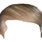Trump Hair