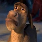 Donkey is sad