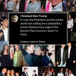 Trump Epstein pedophiles List coverup Elon Musk