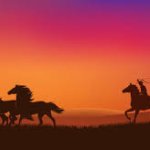 cowboy ropers chase wild horses