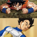 Vegeta, did we beat