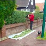 Joint