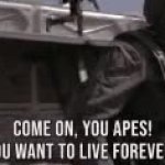apes GIF Template