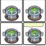Frog in the pot