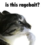Is this ragebait?