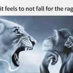 Rage bait