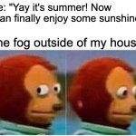 there's no such thing as sunshine here | Me: "Yay it's summer! Now I can finally enjoy some sunshine."; The fog outside of my house: | image tagged in memes,monkey puppet | made w/ Imgflip meme maker