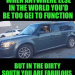 Funny | WHEN ANYWHERE ELSE IN THE WORLD YOU'D BE TOO GEI TO FUNCTION; BUT IN THE DIRTY SOUTH YOU ARE FABULOUS | image tagged in funny,snap,flame,south,usa,fabulous | made w/ Imgflip meme maker
