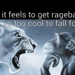 how it feels to get ragebaited but yo too cool