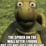 Concerned turtle | THE SPIDER ON THE WALL AFTER I FOUND OUT ITS NOT JUST FOR PEEING | image tagged in concerned turtle | made w/ Imgflip meme maker