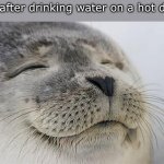WHY IS IT SO GOOD THO? | Me after drinking water on a hot day: | image tagged in memes,satisfied seal,funny,water,relatable | made w/ Imgflip meme maker