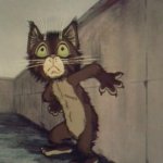 Desperate Cat Vaska