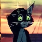 Desperate Cat Vaska
