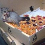 possum bakery