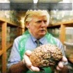 We found Trump's brain, not inside his head, but in a jar. meme