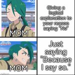 Please just tell me one understandable reason, Mom! | Giving a logical explanation to your reason saying "No"; MOM; Just saying "Because I say so."; MOM | image tagged in memes,mom | made w/ Imgflip meme maker