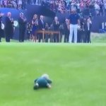 bennett scheffler falling GIF Template