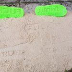 Flip Flops of Truth