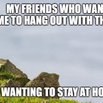 Puffins want to hang out | MY FRIENDS WHO WANT ME TO HANG OUT WITH THEM; ME WANTING TO STAY AT HOME | image tagged in memes | made w/ Imgflip meme maker