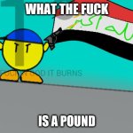 wtf is a pound meme