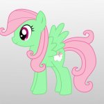 Flutter Flight