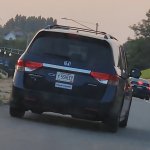 5 sheep covidshot