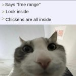 "Free range" doesn't mean a lot | Says "free range"; Look inside; Chickens are all inside | image tagged in cat looks inside,cruel,meat,animal rights,consumerism,capitalism | made w/ Imgflip meme maker