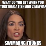 AOC | WHAT DO YOU GET WHEN YOU PUT TOGETHER A FISH AND 2 ELEPHANTS? SWIMMING TRUNKS | image tagged in aoc,politics | made w/ Imgflip meme maker