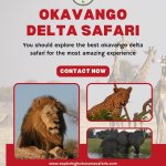 Okavango Delta Safari